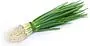 Green onions