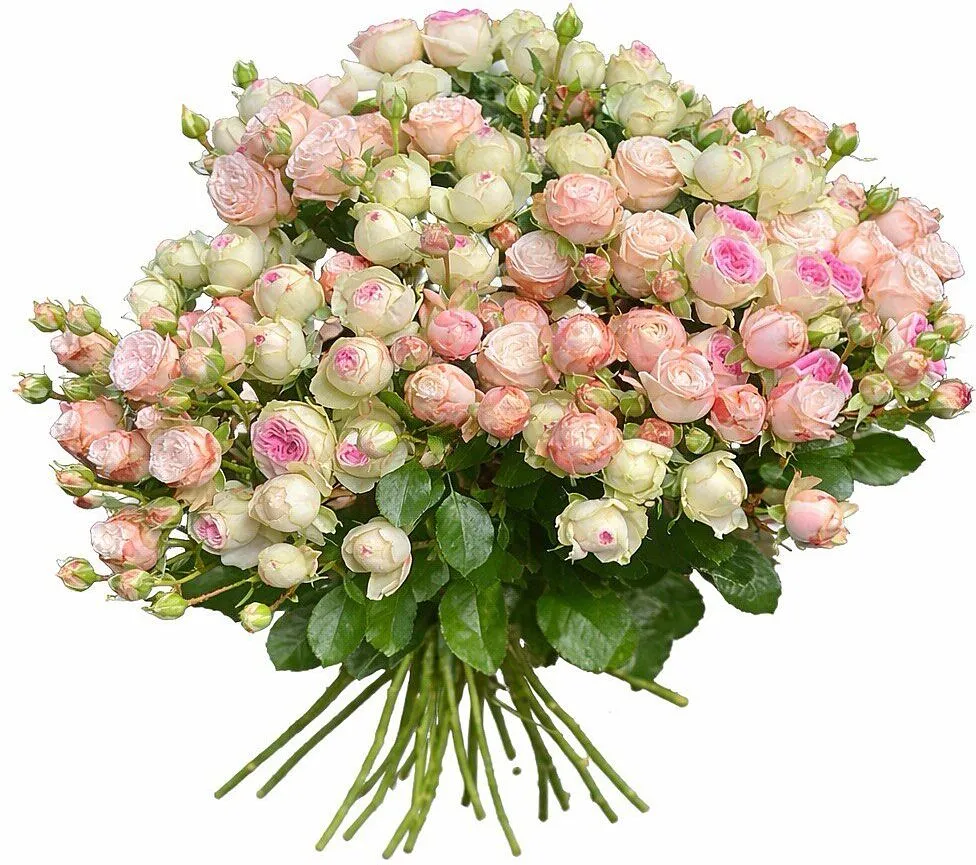 Bouquet «Mona Flowers»