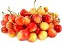 Sweet cherry