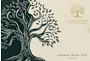 Chocolate candies collection "Paradox Green Tree" 135g±10%
