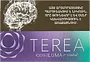 Տաքացվող ծխախոտի գլանակներ «TEREA PURPLE WAVE»