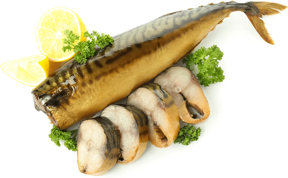 Թյունիկ (սկումբրիա) ապխտած

