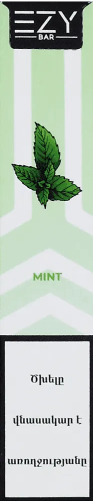Electric pods with mint flavor "Ezy Bar Mint" 600 puffs
