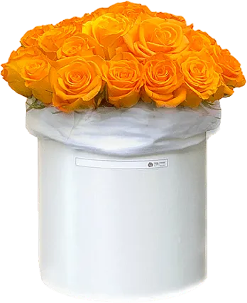 Ծաղկեփունջ «My Rose Marone» 