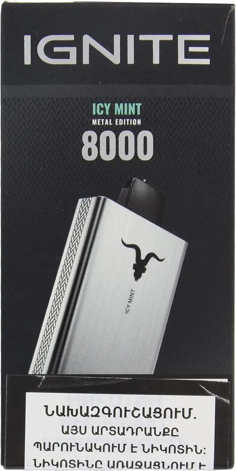 Electric pods with mint ice flavor "Ignite" 8000 puffs
