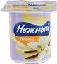 Vanilla pudding "Nejniy" 100g, richness: 2.8%