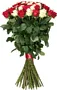 Ծաղկեփունջ «My Rose For Her»  51 հատ