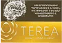 Տաքացվող ծխախոտի գլանակներ «TEREA YELLOW»