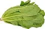 Lettuce leaves