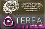 Տաքացվող ծխախոտի գլանակներ «TEREA Oasis Pearl»
