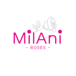 Milani roses