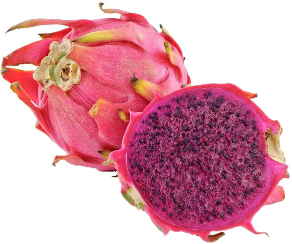 Red pitahaya
