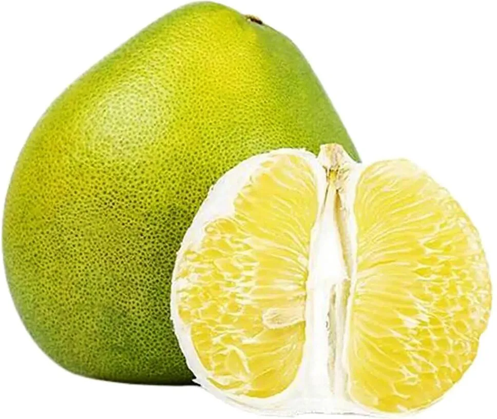 Պոմելո