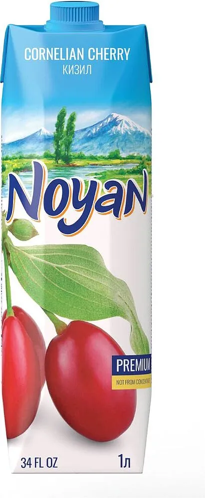 Cornelian cherry nectar "Noyan Premium" 1l 