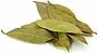 Laurel leaves