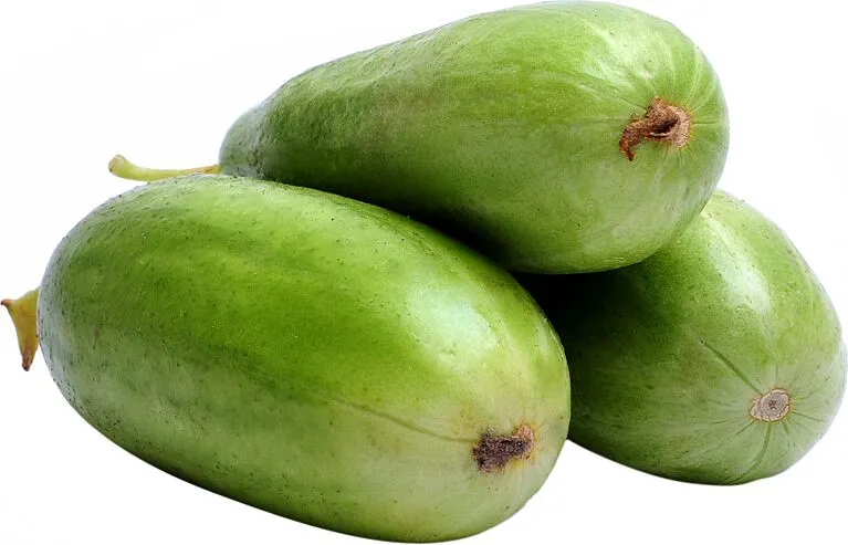 Cucumbers "Nazervan" 
