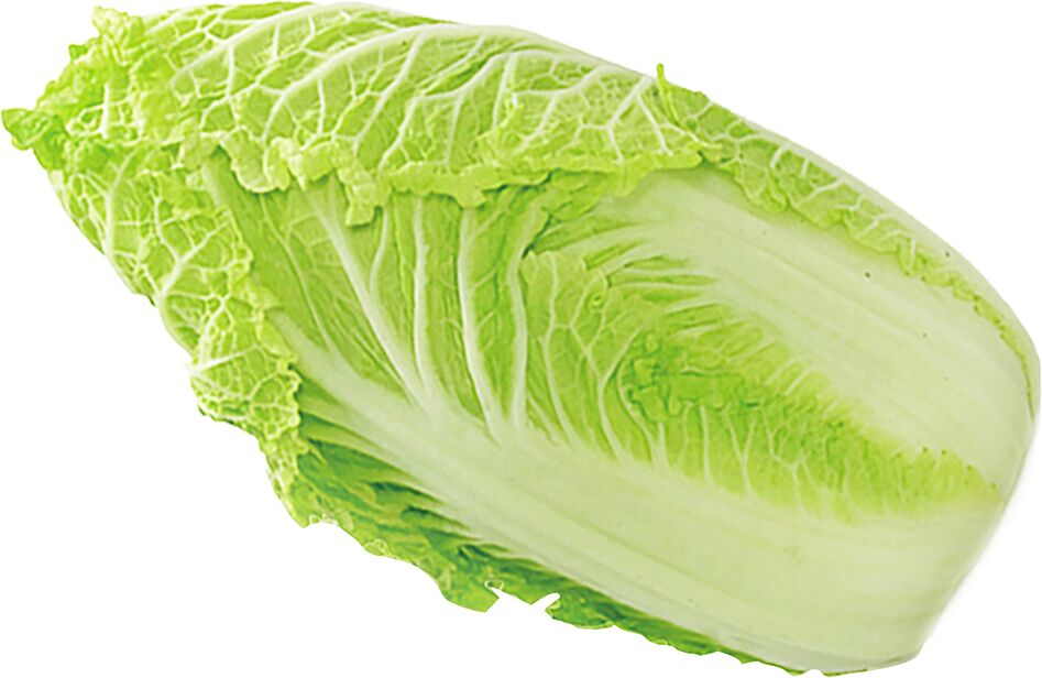 Big lettuce heart-shaped "Iceberg"