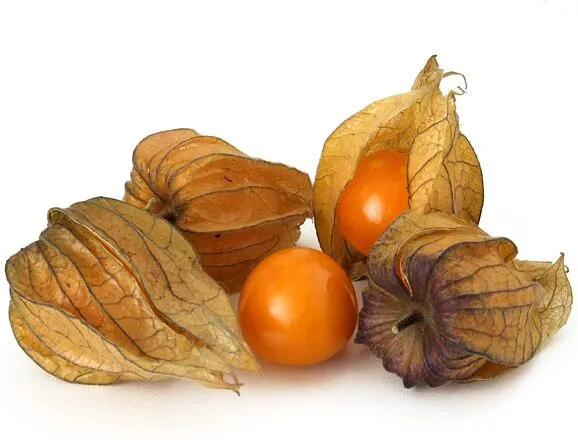 Physalis 100g (10-12pcs.)
