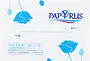 Napkins "Papyrus" 120 pcs