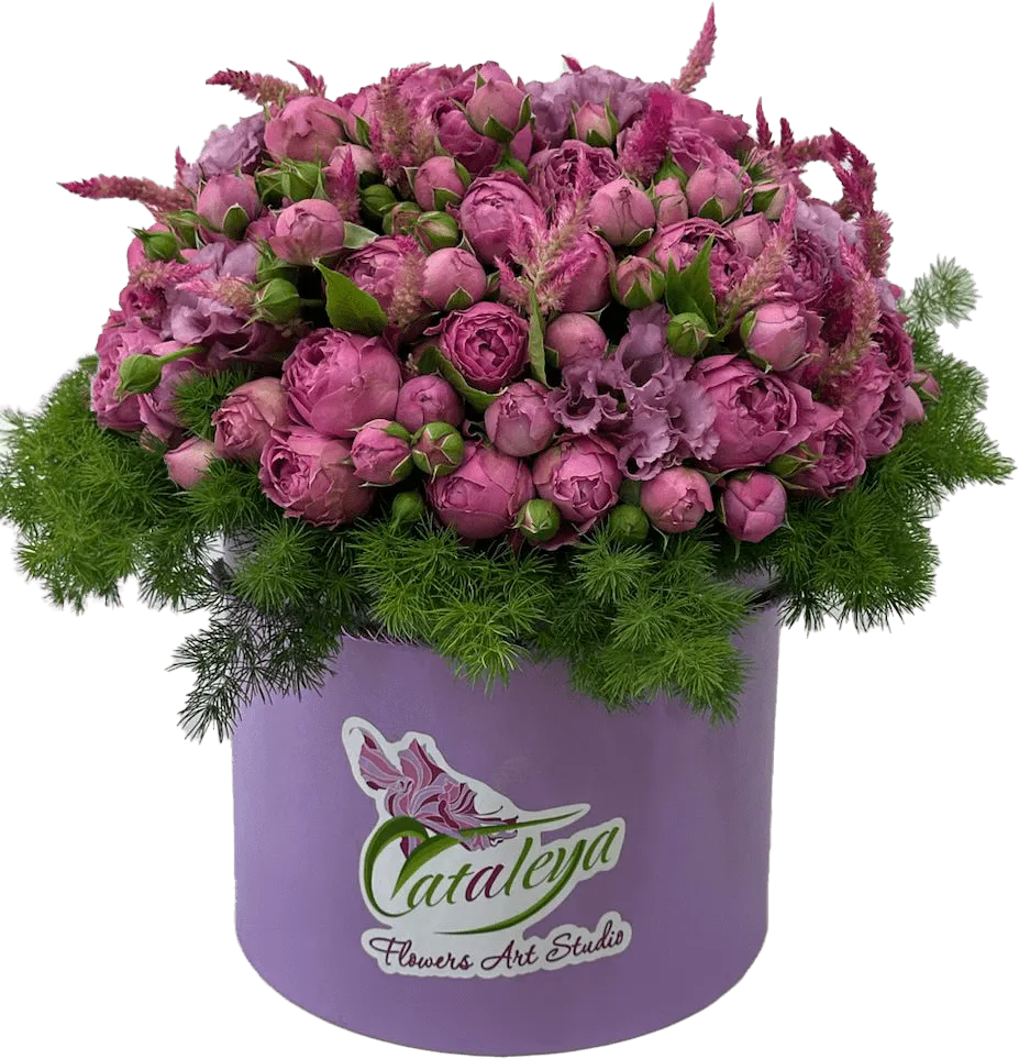 Ծաղկային կոմպոզիցիա «Cataleya»