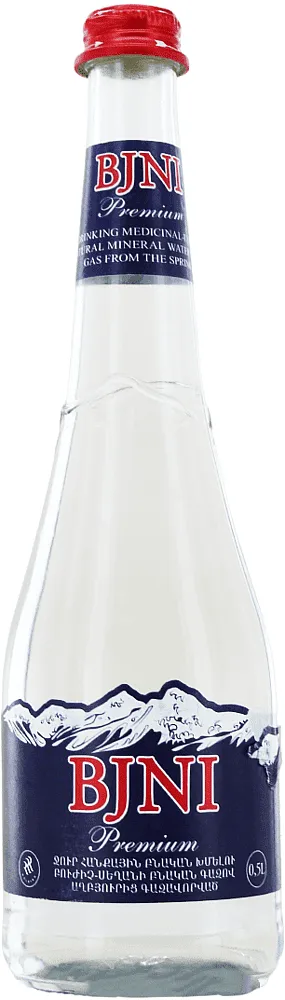 Mineral water "Bjni" 0.5l

