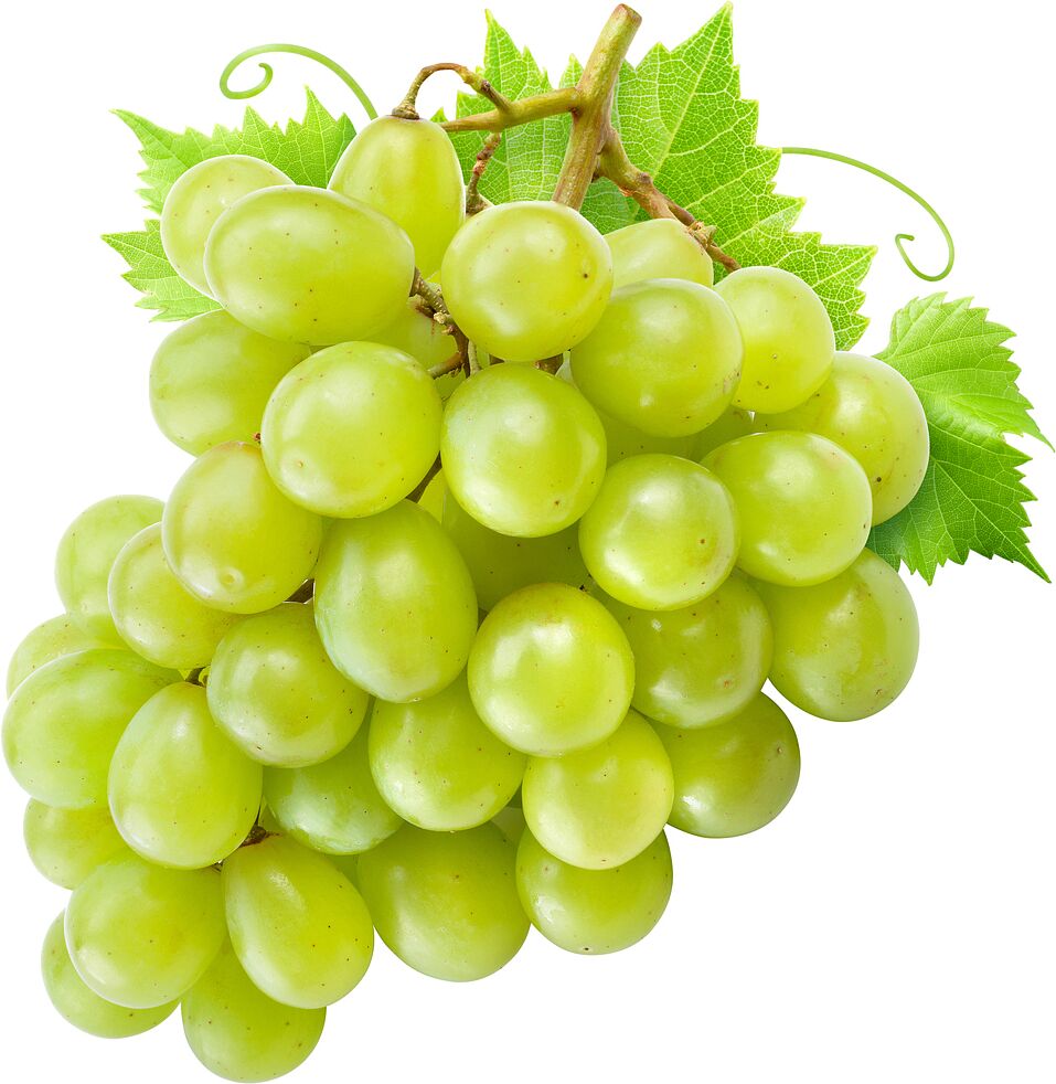 Seedless grapes