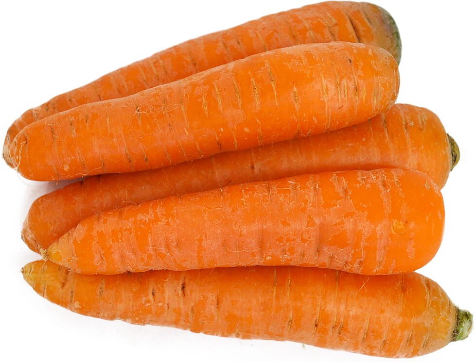 Carrot 