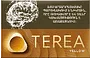 Տաքացվող ծխախոտի գլանակներ «TEREA YELLOW»