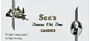 Chocolate candies collection "See's Candies" 454g
