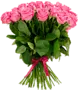 Ծաղկեփունջ «My Rose Aqua» 19 հատ