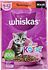 Cat food "Whiskas" 75g  jelly beef 