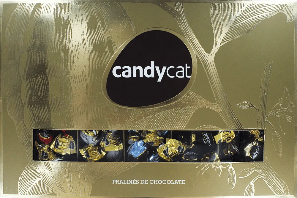 Chocolate candies collection "Candycat" 375g
