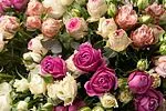 Էքսկլյուզիվ կոմպոզիցիա «SAS Flowers by Villani»
