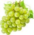 Seedless grapes