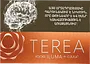 Տաքացվող ծխախոտի գլանակներ «TEREA AMBER»