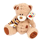 Toy
