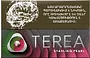 Տաքացվող ծխախոտի գլանակներ «TEREA STARLING PEARL»
