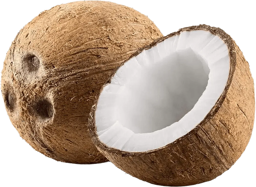 Coconut