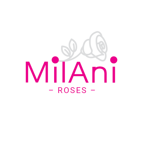 Milani розы