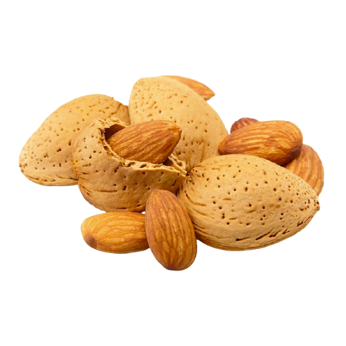 Almond, kernels