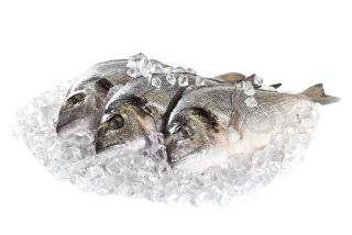 Սառեցված ձուկ