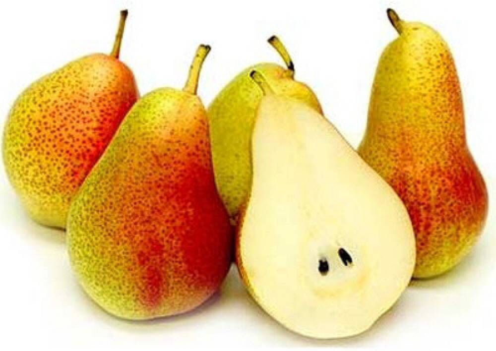 Pear Farrel